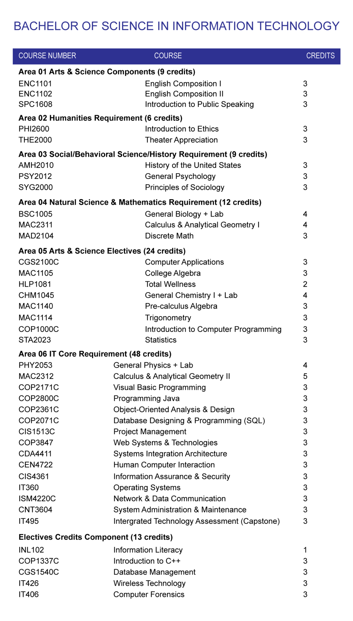 Bachelor Of Science In Information Technology – ACHE