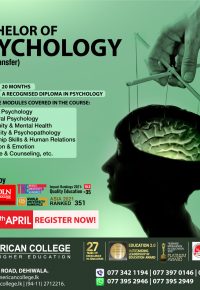 Bachelor of Psychology