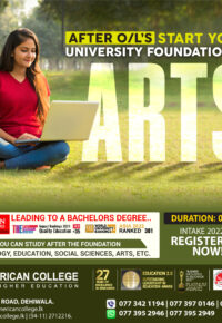 University Foundation In Arts
